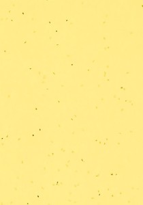 Vzor - 50261 banana, kolekce Sphera Energetic