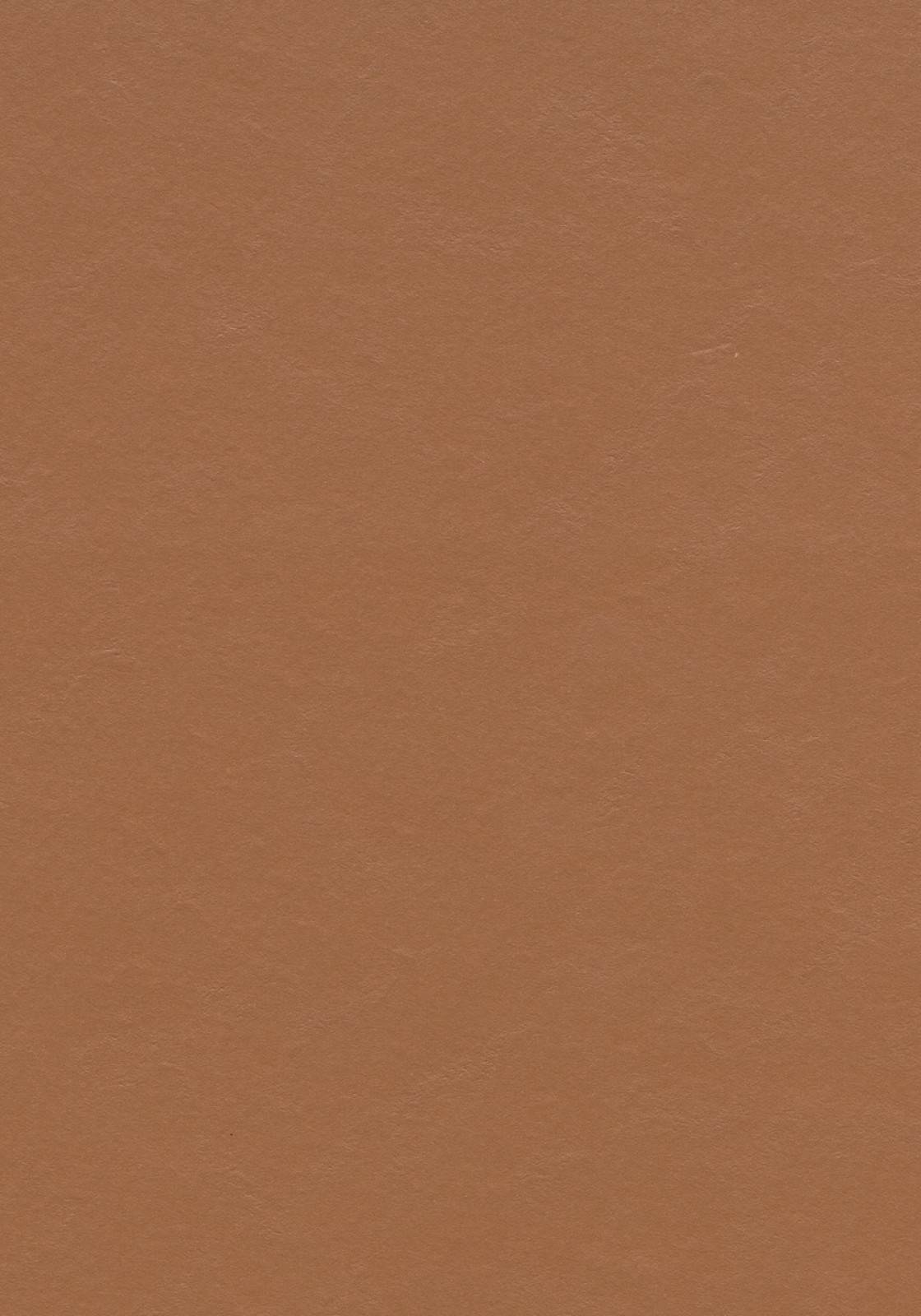 Vzor - 337035 terracotta