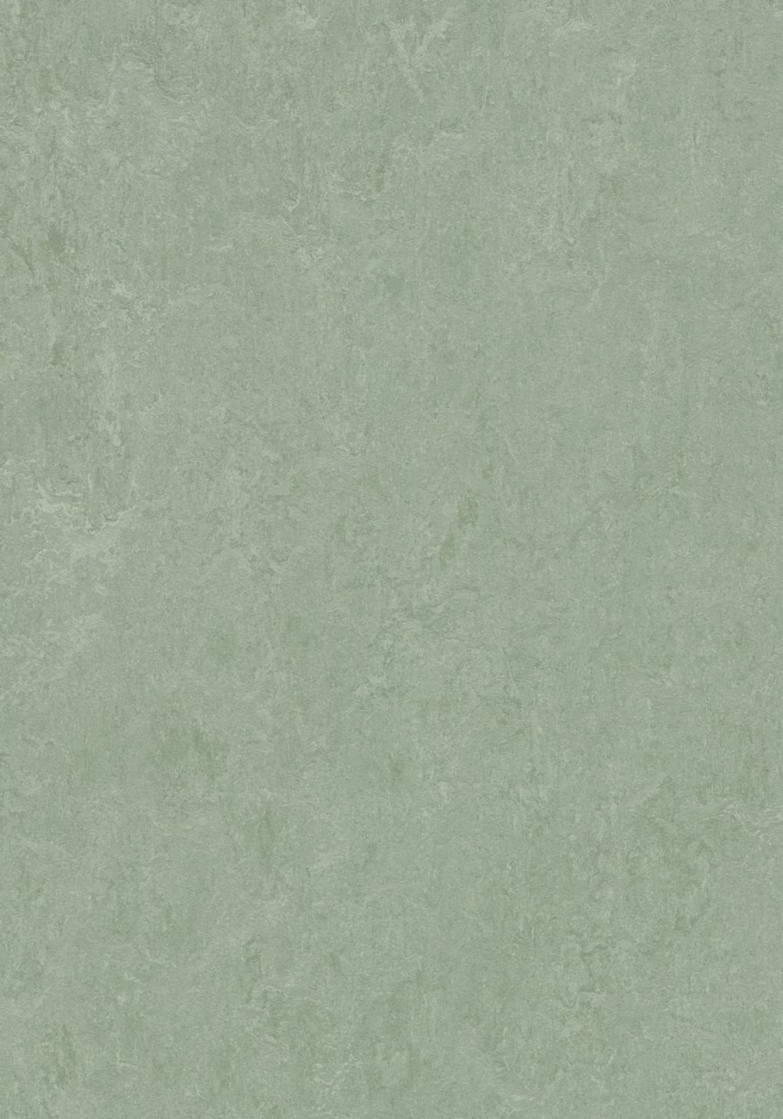 Vzor - 3891 sage