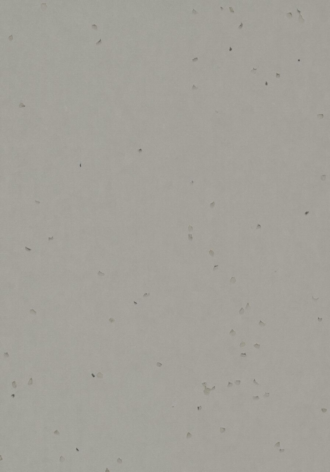 Vzor - 50258 elephant