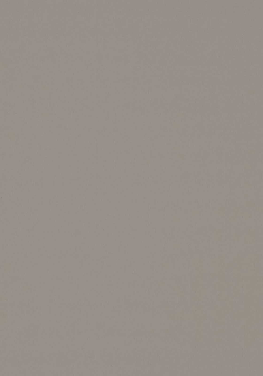 Vzor - 4011 taupe