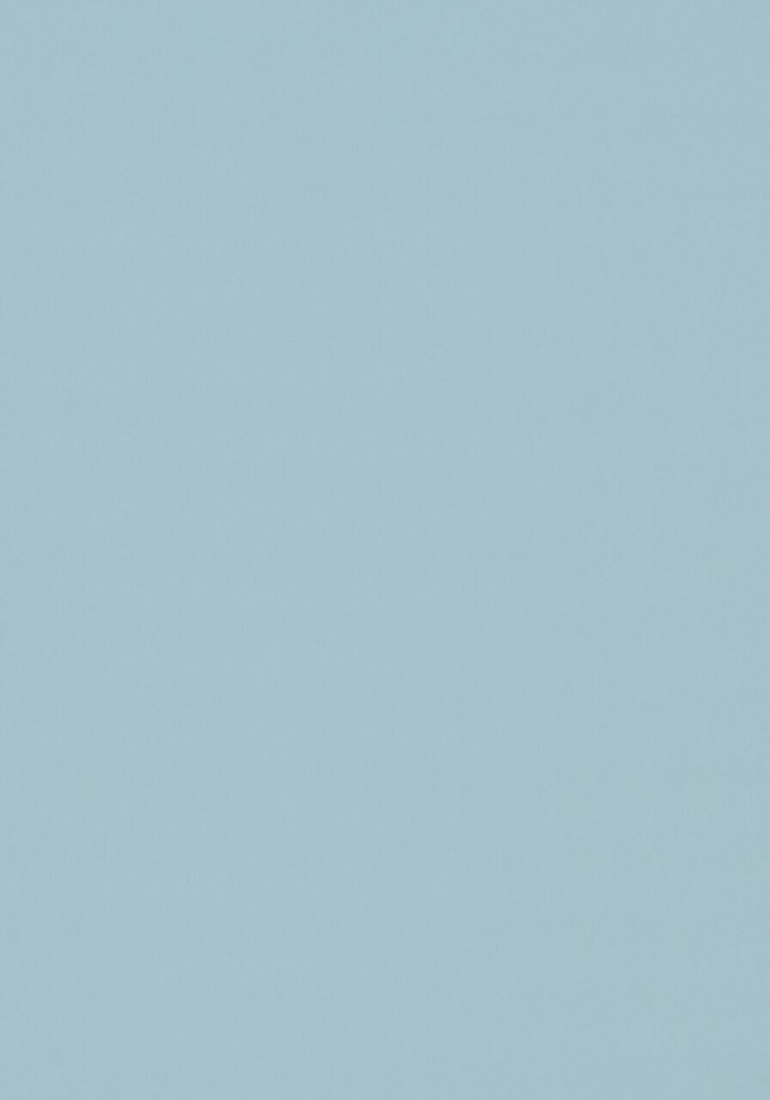 Vzor - 4004 blue haze