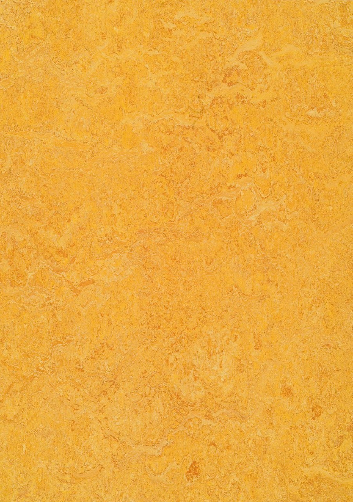 Vzor - 3225 dandelion