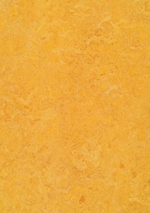 Vzor - 3225 dandelion, kolekce Marmoleum Real