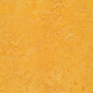 Vzor - 3225 dandelion, kolekce Marmoleum Real
