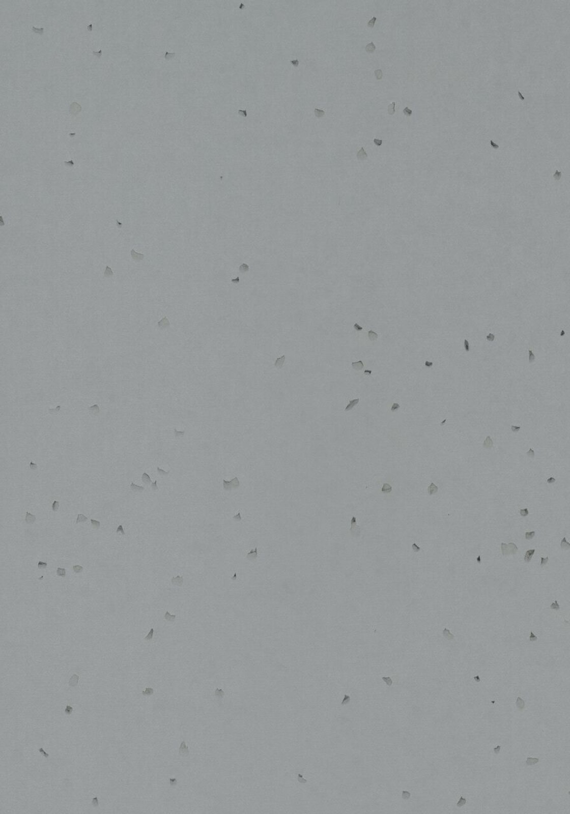 Vzor - 50251 pidgeon