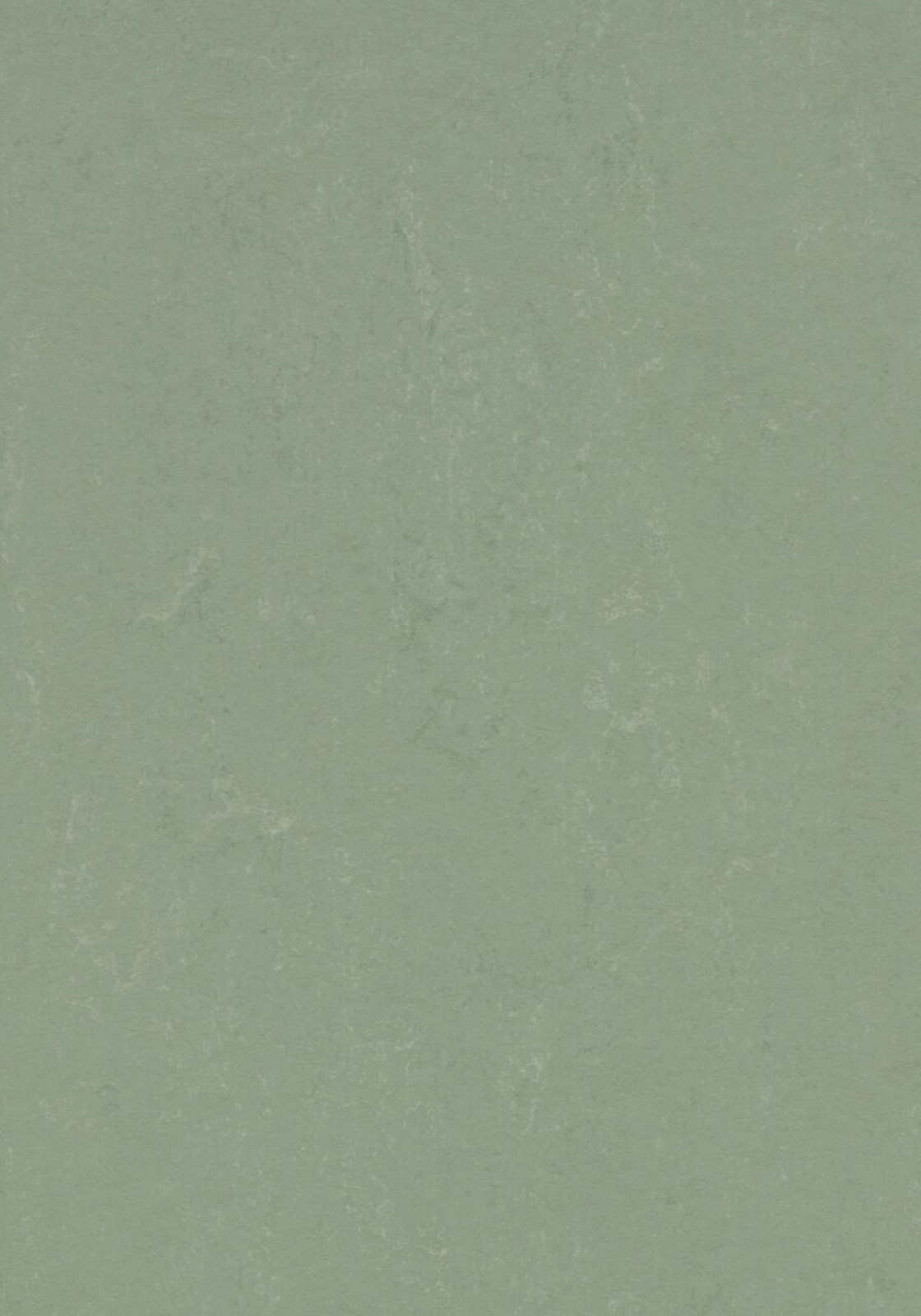 Vzor - 3750 pine forest