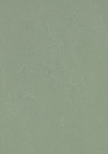 Vzor - 3750 pine forest, kolekce Marmoleum Concrete