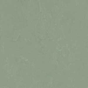 Vzor - 3750 pine forest, kolekce Marmoleum Concrete