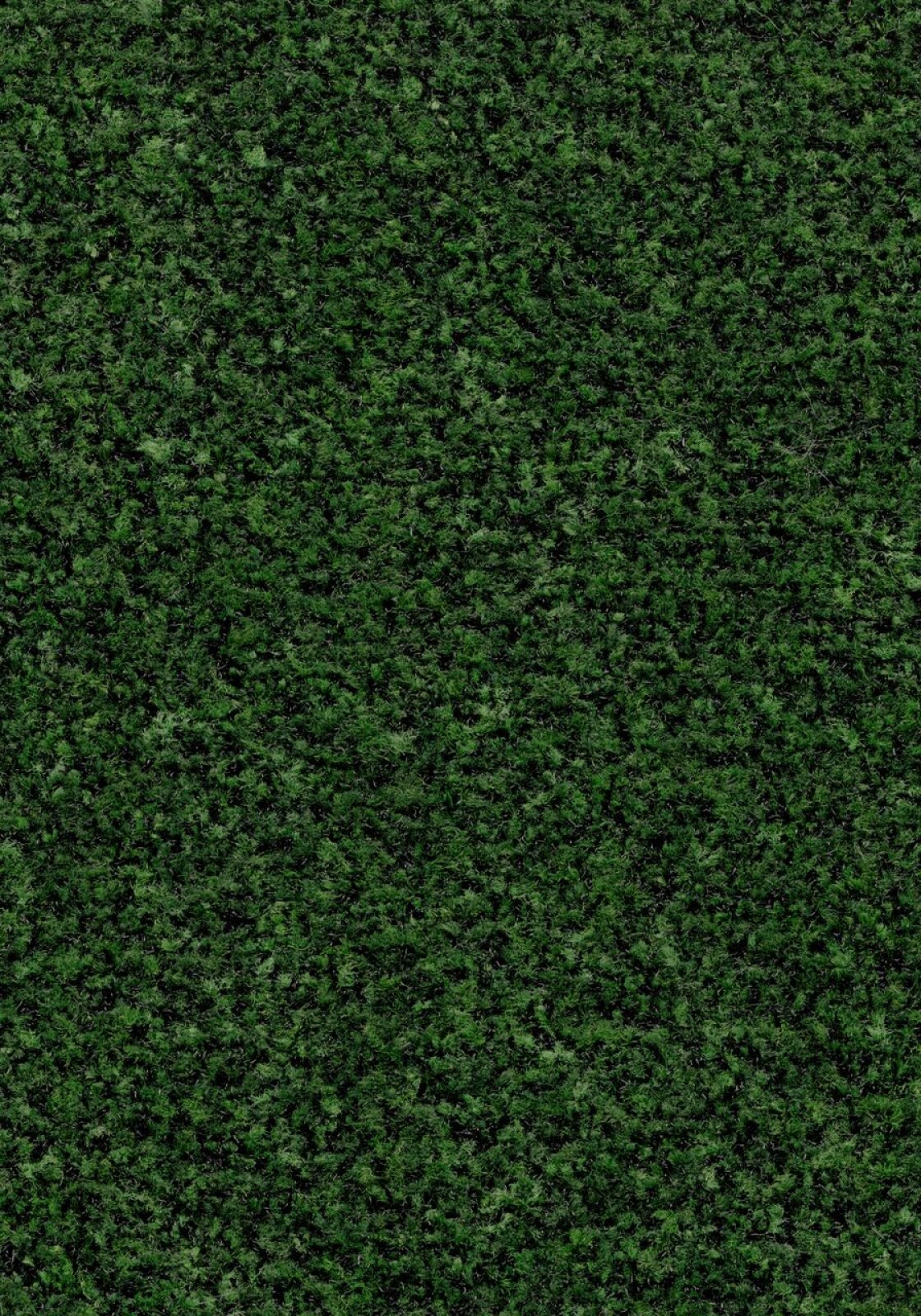 Vzor - t5708 avocado green