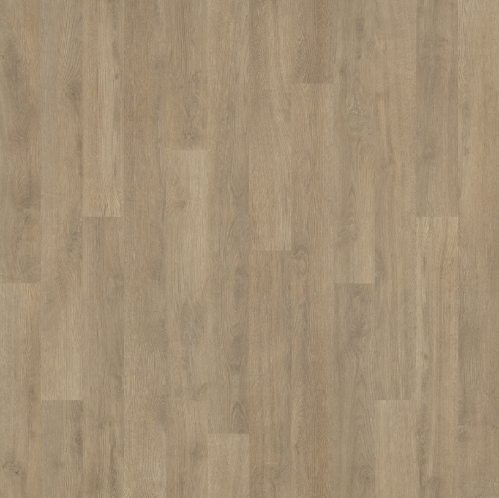 Vzor - 18962 whitewash oak