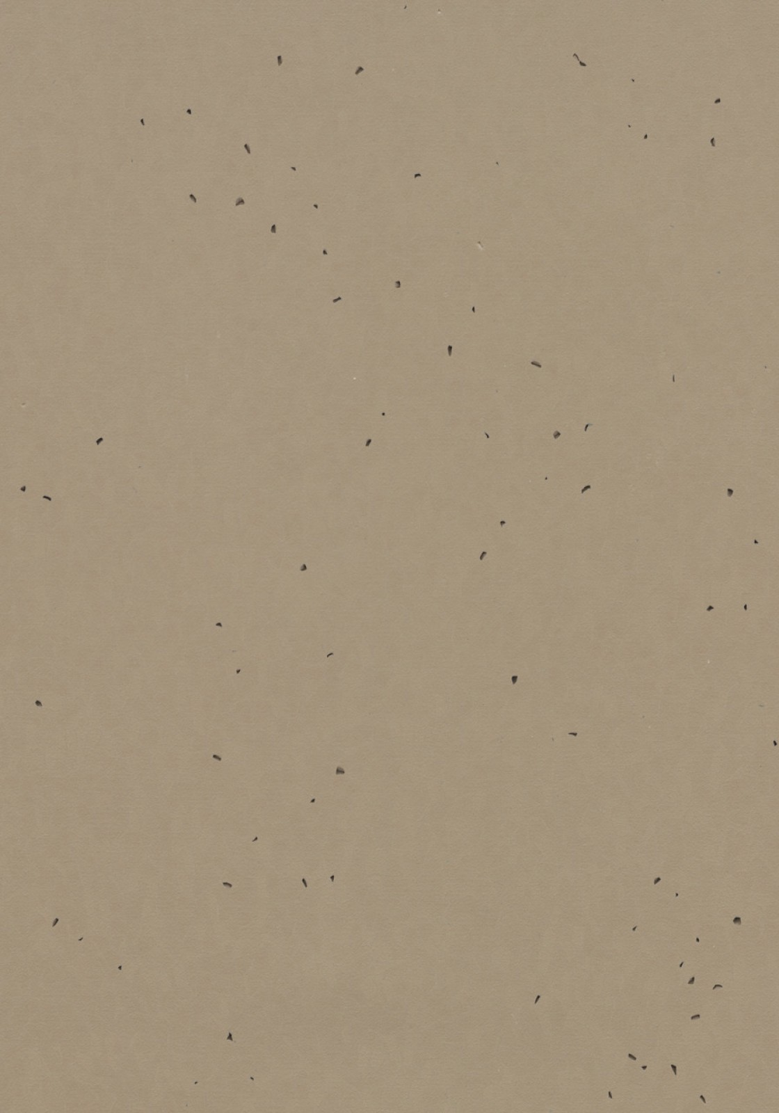 Vzor - 50209 nutmeg
