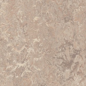 Vzor - 3232 horse roan, kolekce Marmoleum Real