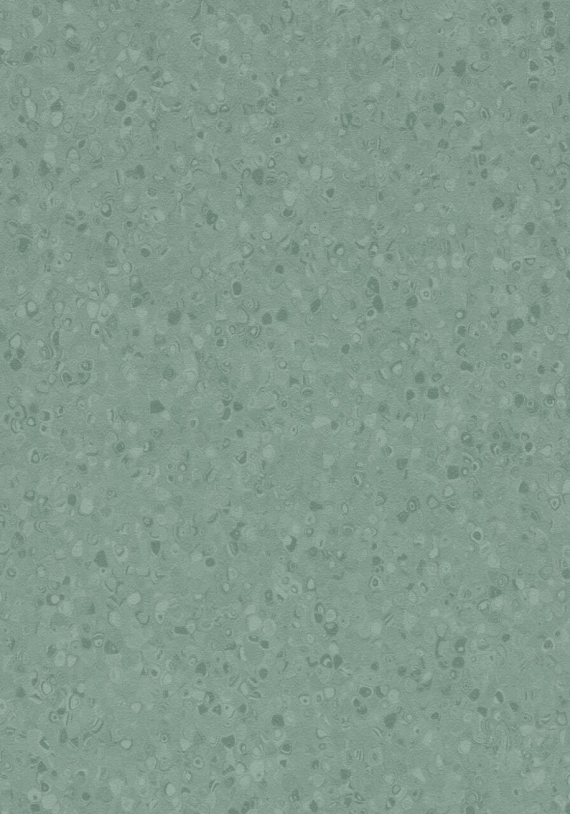 Vzor - 50077 kelp