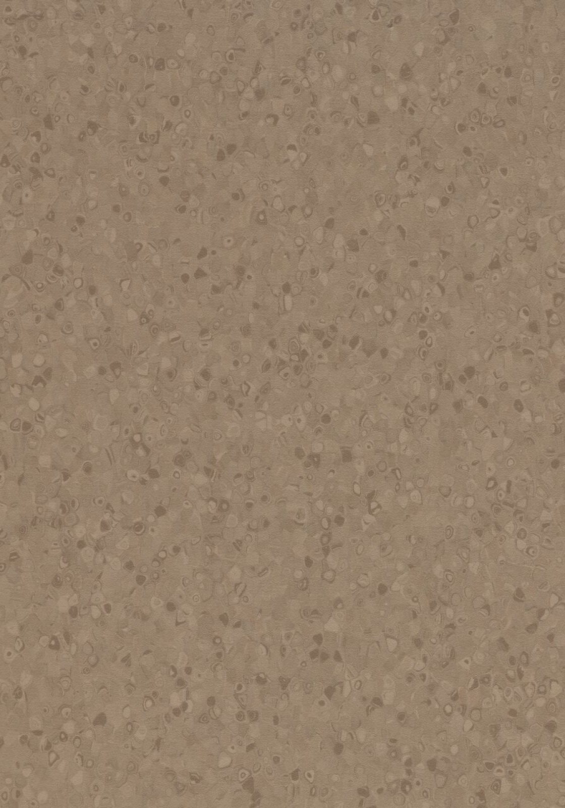 Vzor - 50025 earth