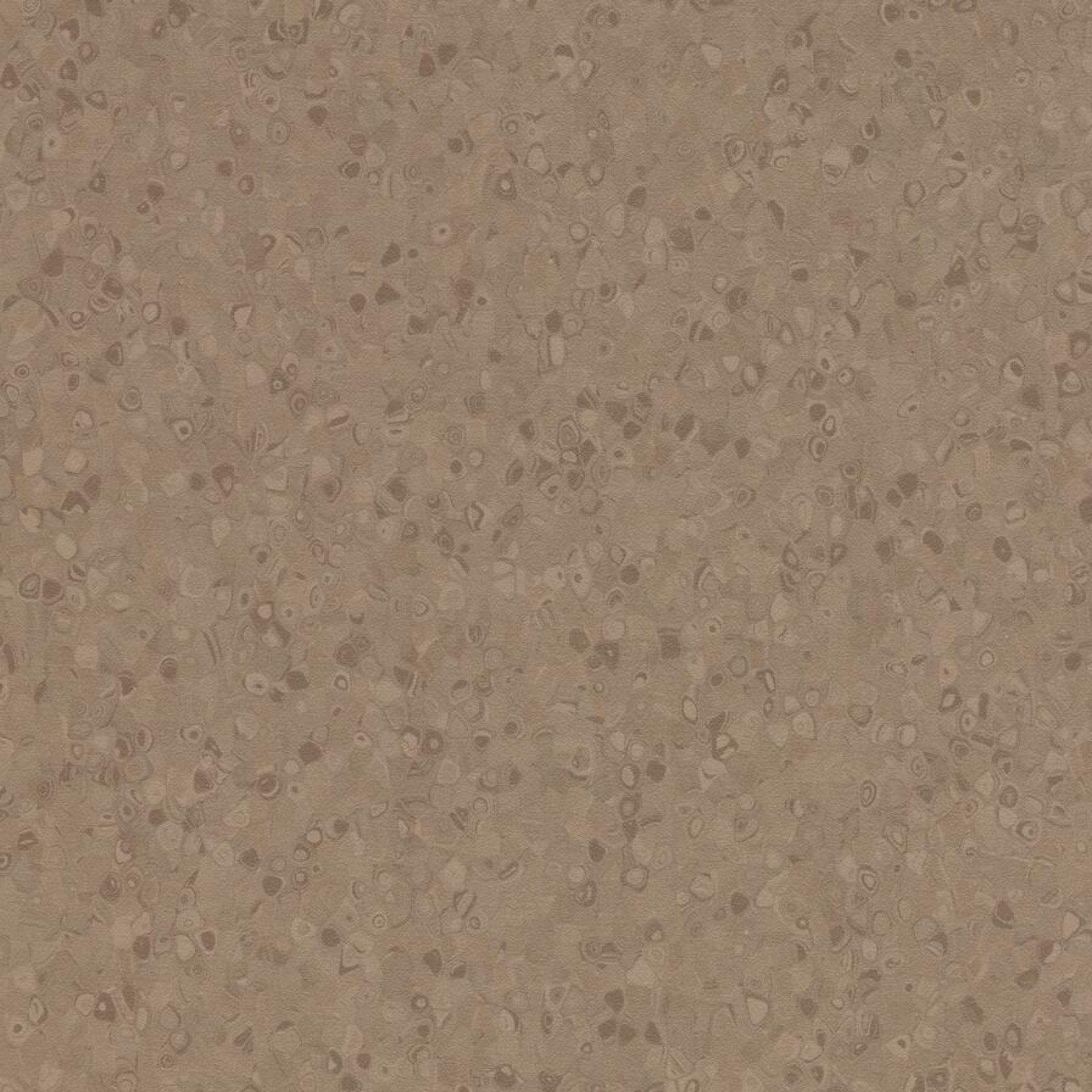Vzor - 50025 earth