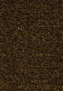 Vzor - 5736 cinnamon brown, kolekce Coral Brush