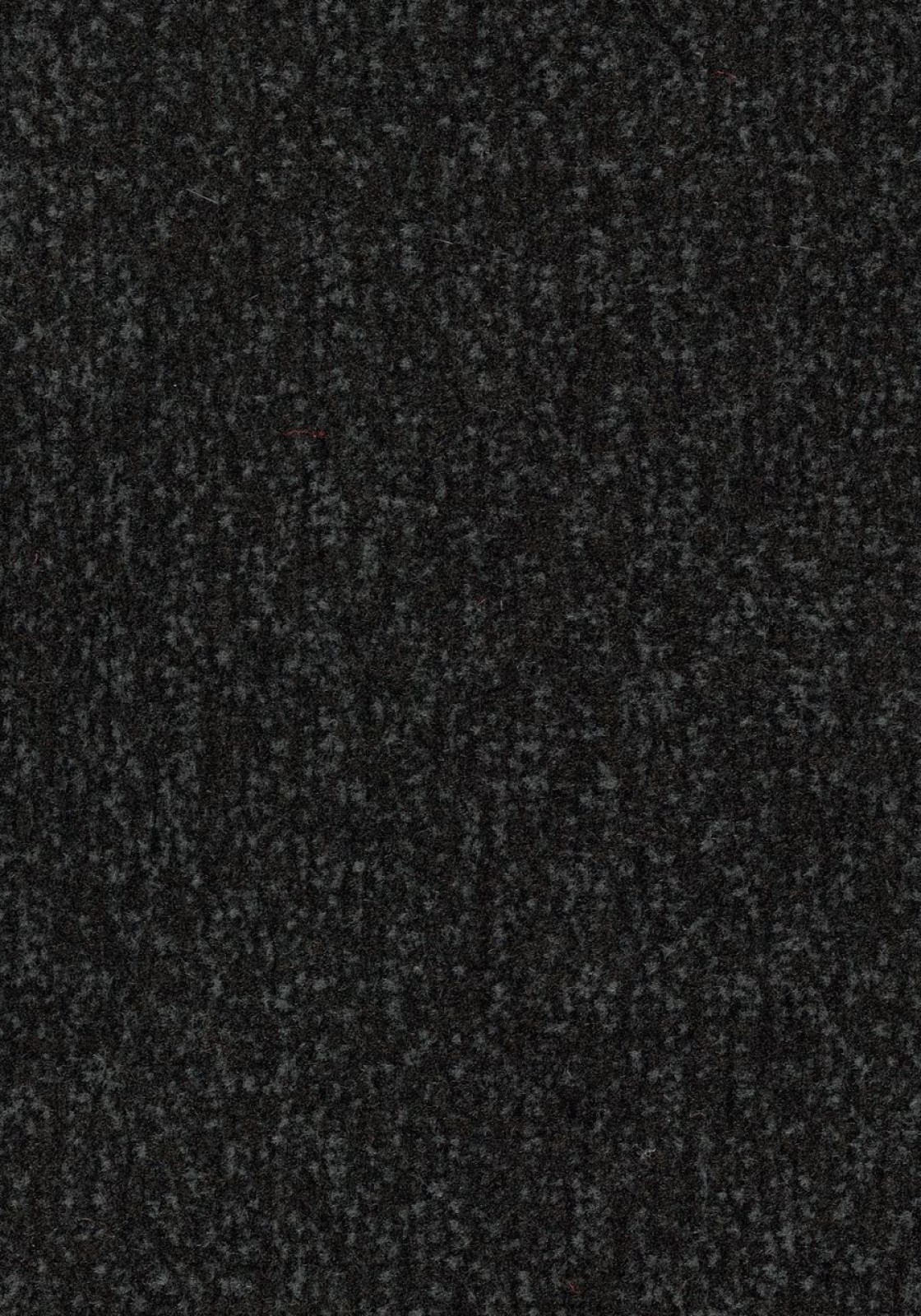 Vzor - 4730 raven black - LLT